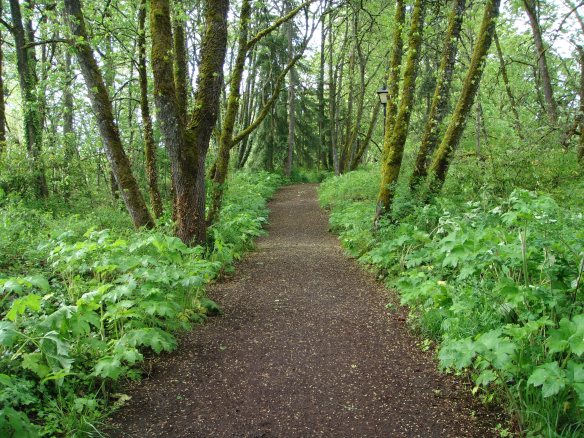 The Prefontaine Trail