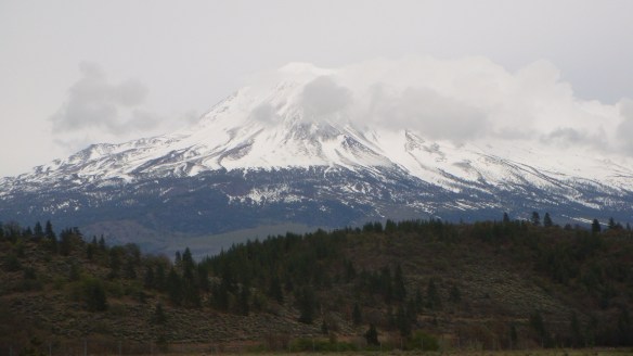 Mt Shasta - Elevation 14,162
