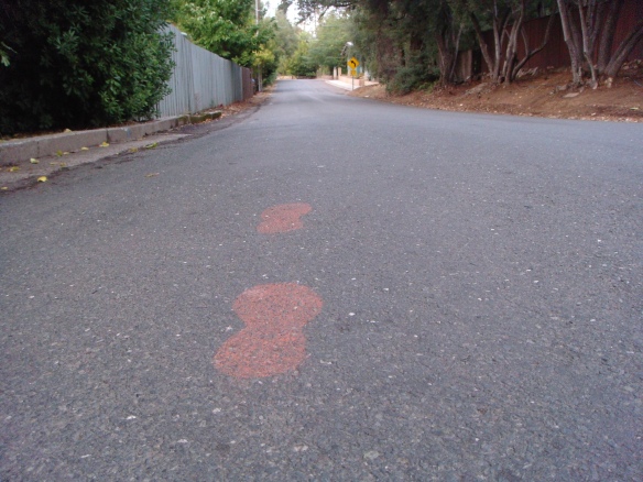 The Red Footprints of The Western States 100 Mile Endurance Run